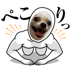 nao_20231227132508