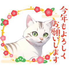 猫の居る生活　あけおめことよろ