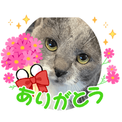 suzu_20231227083635