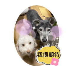 比比嚕嚕多多妹妹