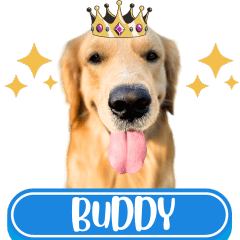 WOOFME WITH BUDDY