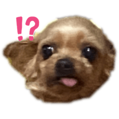 Moo_20231227225141