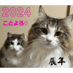 2024年 正月 浦崎家