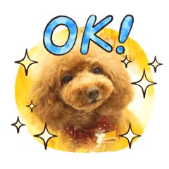 taamin_20231227182039