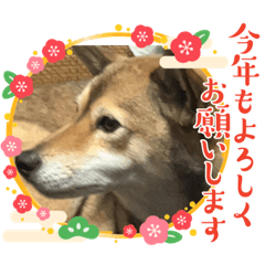 yuuko_20231227200339