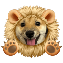 Sakura_20231227200427