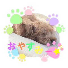 nao_20231227184026