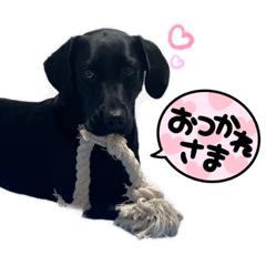 Tomomi_20231228121451