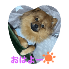 YUKA_20231228135238