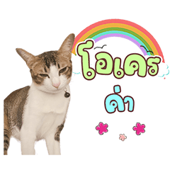 Twitty ver....1