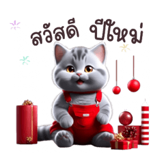 Cat Grey Tuateung New Year