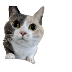 komikenyan_20231228163403