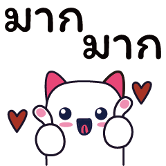 Percakapan Thailand dengan kucing lucu