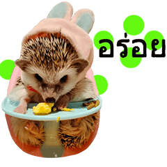 Araw-araw na Cute Healing Hedgehog-23