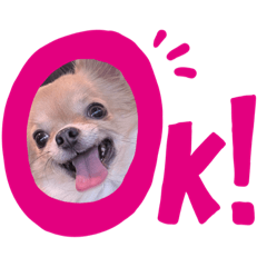 love_taro_20231228170852