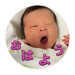 kokoko_20231228230925