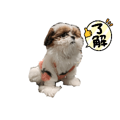 Kana_20231228234604