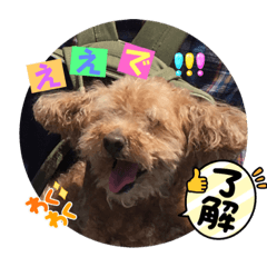 nao_20231228201224
