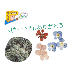 nanamin_20231229085527