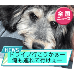 yuka_20231228221035