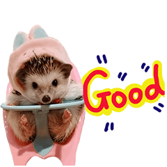 Araw-araw na Cute Healing Hedgehog-24