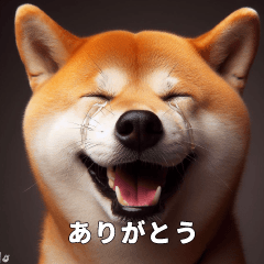 Dog and cat meme-style Sticker