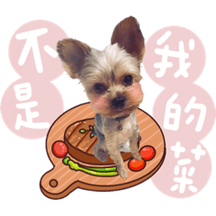 吳BiBi