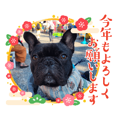 hoyaa_20231228192811