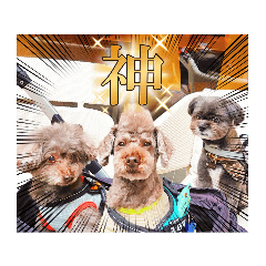 balveniehaus_20231228224740