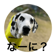 Nao_20231229094434