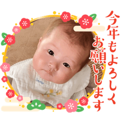 SAKURA_20231229100624