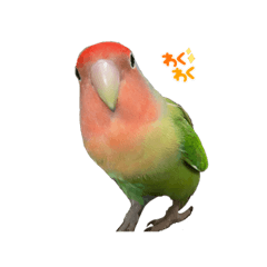 sak_20231229092822