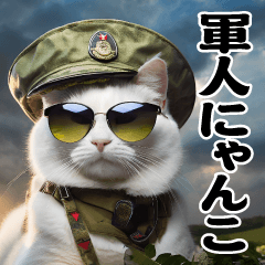 AI Military cat @ live-action sticker