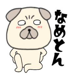 【年中使える】関西弁パグ犬のぱーちゃん56
