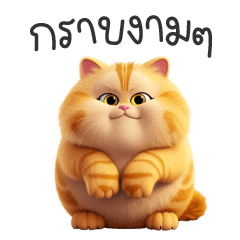 Cute Orange Fat Cat - Somsom
