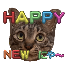 yamayuka_20231229145340