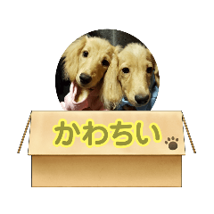 Tsubaki_20231229142157