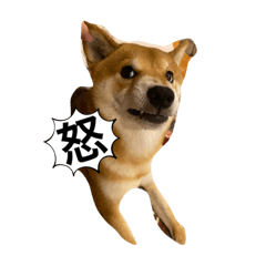 manmaru_20231229160315
