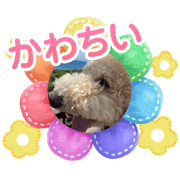 toko_20231229151603