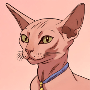 sphynx cat pink