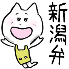 Niigata's cat