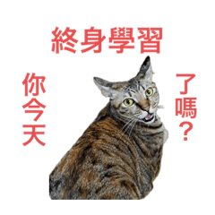 終身學習貼圖 萌寵版