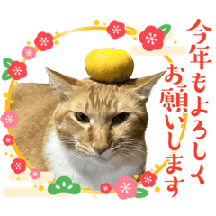 nao_20231229181931