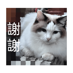 發财的日常