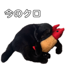 sakura_20231229222146