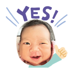 毛荳荳的表情包