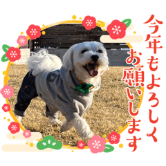 michi-sango_20231229220258