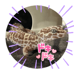 yayayu_20231229222237