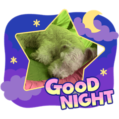 Toby and summer sticker