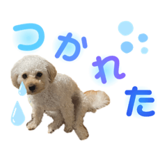 maya_20231230104219